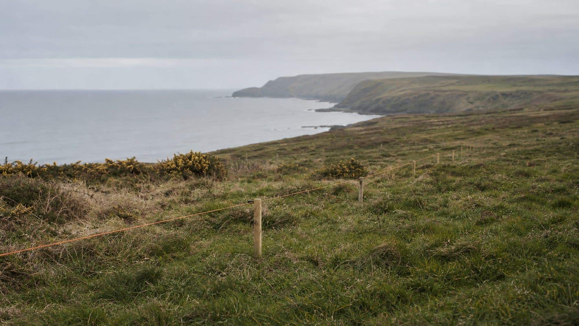 An unbuilt coastal plot marked with survey pegs, rough grass and a distant headland in flat light.