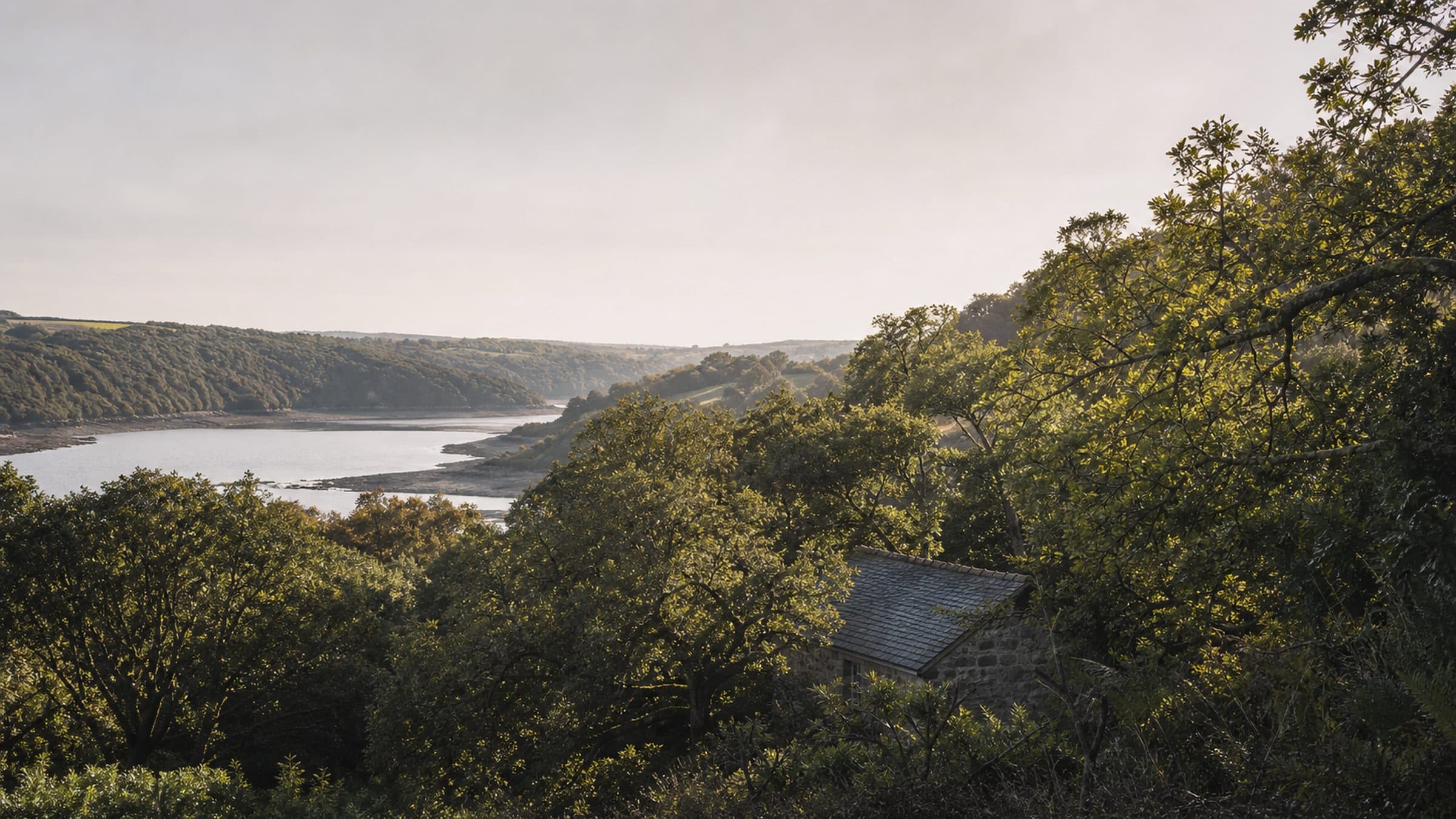 Sessile oak woodland above an estuary in soft morning light, with a stone barn among the trees.
