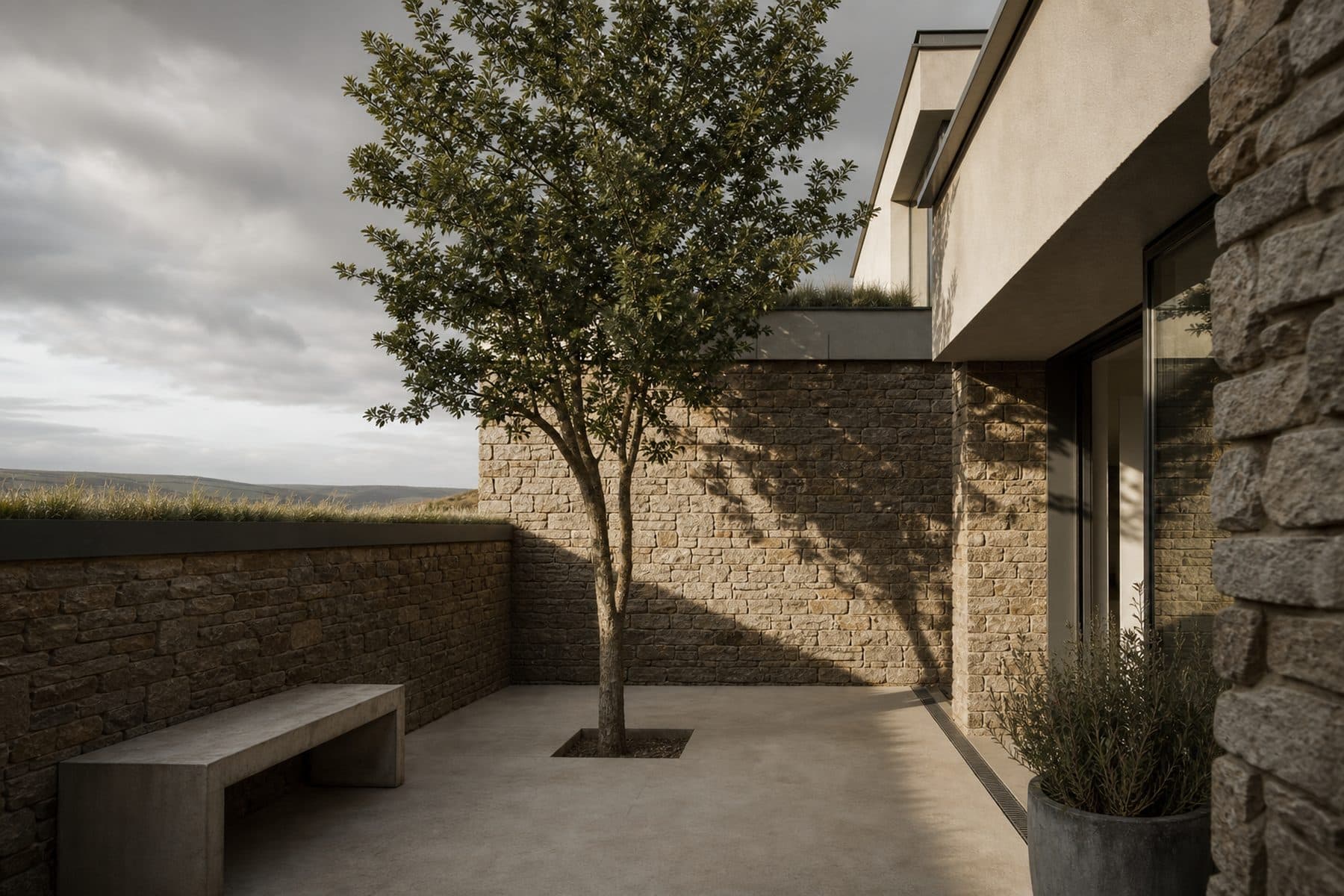 A walled granite courtyard in morning light, with a single olive tree and a lime concrete floor.